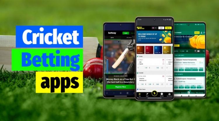 The Best IPL Betting Apps and Sites – Wolf77
